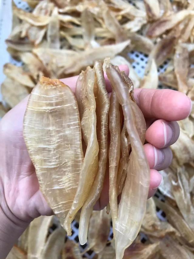 咳嗽可以喝花生花胶汤吗 咳嗽可以喝花生花胶汤吗宝宝