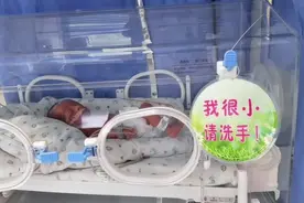 继“繁荣昌盛”之后又迎来四胞胎“前程似锦”，概率七十万分之一图片