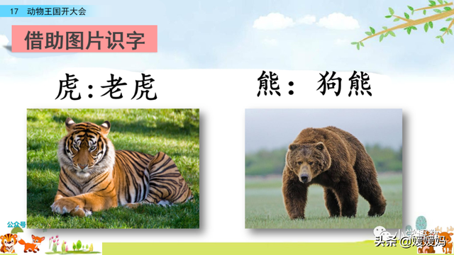 一年级下册语文课文17《动物王国开大会》图文详解及同步练习