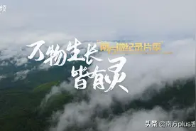 微纪录片里的广东！追寻濒危野生动植物的足迹，感受万物生长皆有灵图片