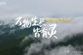 微纪录片里的广东！追寻濒危野生动植物的足迹，感受万物生长皆有灵图片