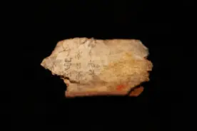 爹与爸有何区别，商周古字揭开秘密，难怪古人称父亲为爹爹图片