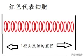 2020年料理机/破壁机选购指南及红黑榜，让你不上当（务必收藏）图片