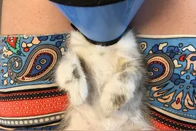 猫藓不可怕，对抗它需要的不仅仅是药物，更需要时间与耐心图片