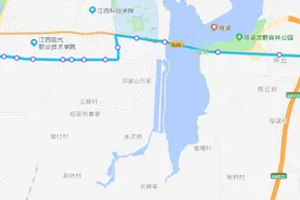 7月9日起，多条公交线路优化调整图片