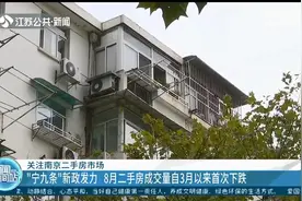 南京“宁九条”新政发力：家长要买学区房 先把原来房子卖掉图片