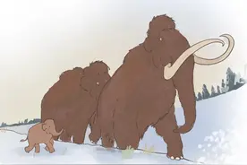 我们能复活猛犸象吗？看科学家都想了哪些办法？图片