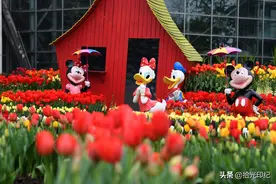 重庆南山植物园恢复开园 满园春色等你来图片