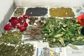 乡村小副业：捉蜈蚣 · 采中草药图片