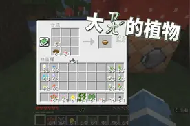 我的世界：1.14可疑的炖汤？都有什么效果呢？