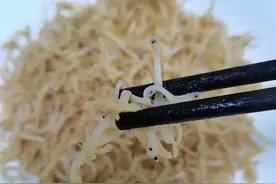 小身体大能量的香煎银鱼，简单的美味图片