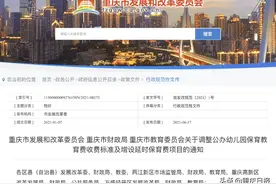 重庆调整公办幼儿园保教费收费标准 一级幼儿园600元每生每月图片