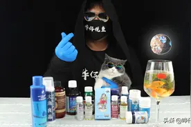 观赏鱼之怪现象：一条鱼有病，一缸鱼跟着一起吃药，闹着玩儿呢？图片