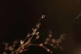 一加&周深推出新单曲，这110秒抢先版MV透露了什么？图片