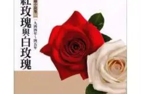 《红玫瑰与白玫瑰》：佟振保对生活失望的背后，是女性的自我觉醒图片