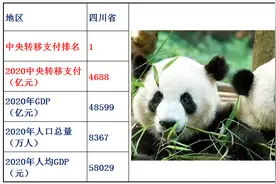 2020年中央转移支付各省资金明细，看看国家对哪个省的财政补贴多图片