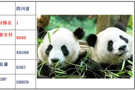 2020年中央转移支付各省资金明细，看看国家对哪个省的财政补贴多图片