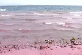 昆明周边游：浪漫的粉色沙滩图片