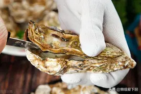 生蚝怎么吃？具体蒸多长时间？原来吃生蚝也有讲究，涨知识了图片