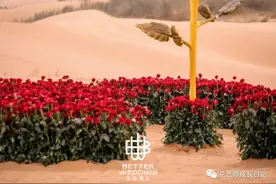 节日特辑vol.13 | 一场关于爱情的玫瑰行动图片