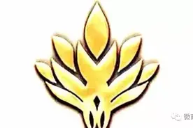 REC黄金树特大传销案告破，关联密切的“洋老板”还能逍遥多久？图片