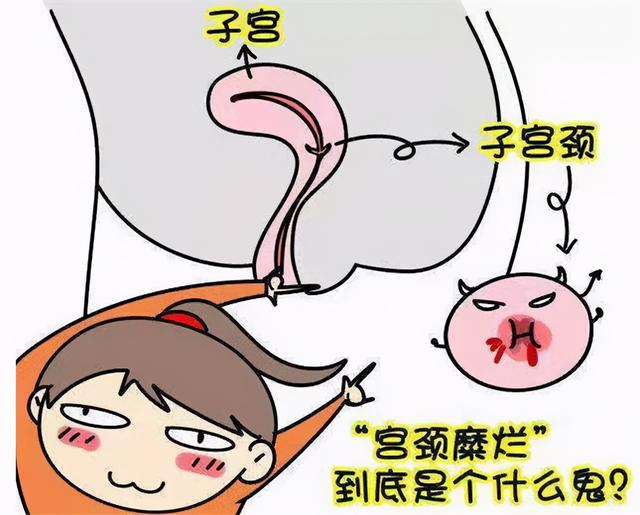 弥乐芸