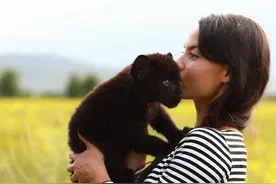 被自己的母亲拒绝后，小豹子被一个女人和一个罗威纳犬抚养图片