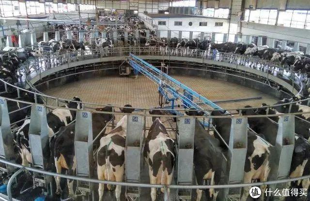 法国塑身体乳哪个品牌好