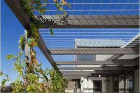 家有大院子照着这样去装，一年四季不出门也能看花海，实用性超高图片