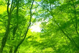 经典语录之名人名言图片