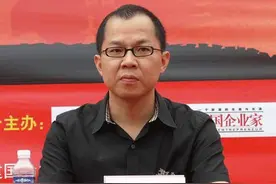 阳光城“跑不动了”，林腾蛟“甩手掌柜”不好当图片