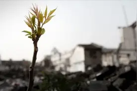 未删减版《废都》是贾平凹的情感宣泄还是对庄之蝶的感同身受？图片