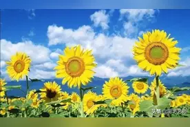 廊坊龙邸幼儿园2020年招生开始啦！！！图片