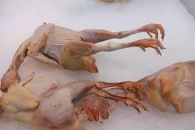 牛津大学研究：吃鸡肉或会提高3类癌症风险，如何看待这项研究？图片