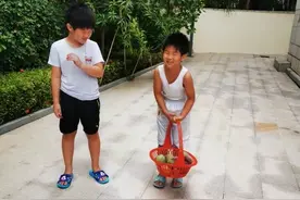 沙溢晒两儿子摘芒果，两儿子刚入夏晒黑不少，尼莫身高快赶上安吉图片