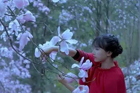 李子柒，关于家乡，你还要瞒多久图片