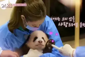 韩国知名女团带妆抱大熊猫幼崽，网友怒了图片