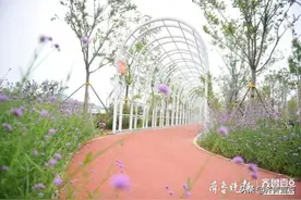济南顺河高架南延通车在即，望岳路辅道白色长廊吸睛图片