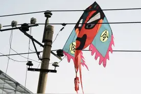 孩子放风筝，夫妻一个动作导致双双截肢图片