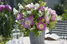 10个一眼万年的神仙句子图片