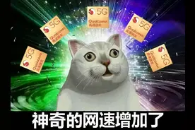 又被坑了，你所使用的 5G 网络可能是假的图片