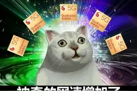 又被坑了，你所使用的 5G 网络可能是假的图片