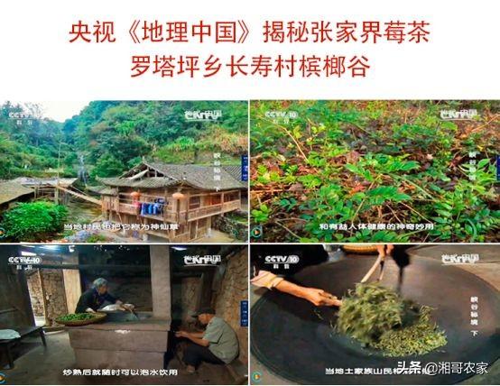 药物杀不死病毒，免疫力却可以！常喝它，提高免疫力