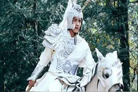千兵万马避白袍，白马探花陈庆之图片