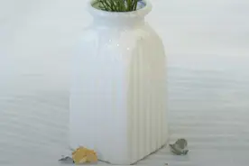 兰州大学、东北大学、华师大、中国农大、中国海洋大学的王牌专业图片