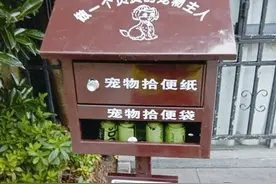 为文明遛狗提供便利 宁波樱花公园上线“宠物拾便箱”图片