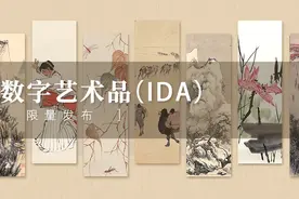 NFT与IDA有什么区别？IDA概念到底是什么？图片