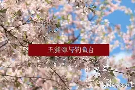 玉渊潭与钓鱼台 | 来历知多少？图片