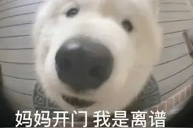 一分钟了解电脑电源：02从序列码看出厂日期图片