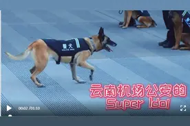 Super Idol的笑容都没“你”的甜图片